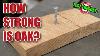 How Strong Is Solid Oak Test Tuesday