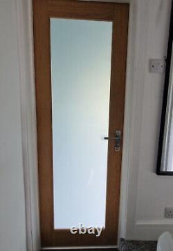 Oak Pattern 10 / Mexicano 1 Light Internal Door Obscure Glazed / Satin / Frosted